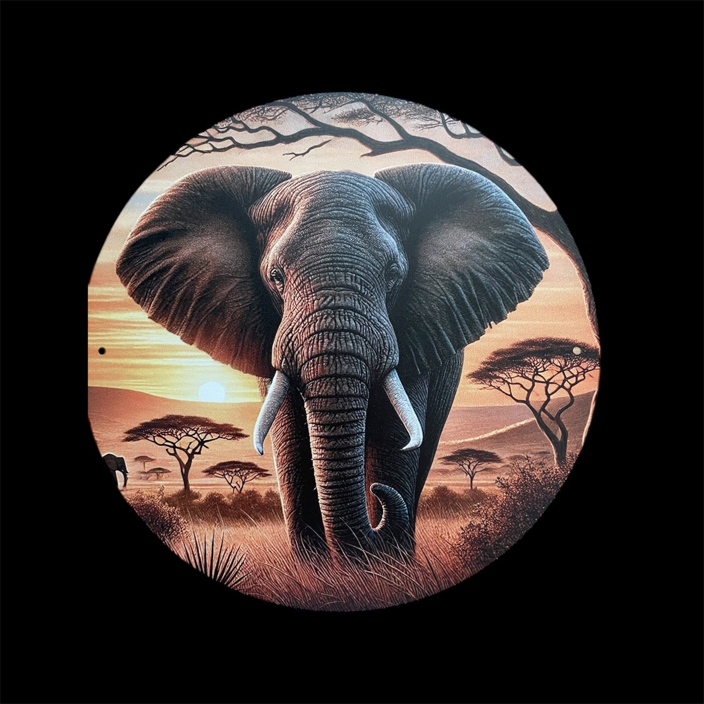 Pre-Orders - You select sign design on 16 inch handpainted wood round