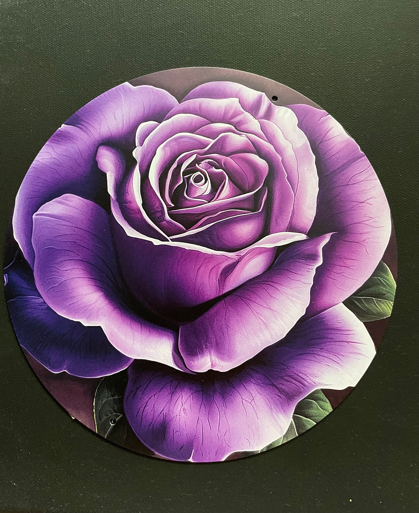 Pre-Orders - You select sign design on 16 inch handpainted wood round
