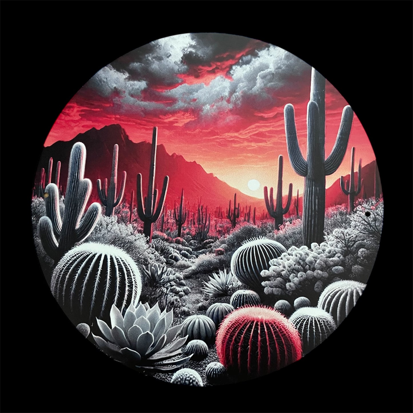Pre-Orders - You select sign design on 16 inch handpainted wood round