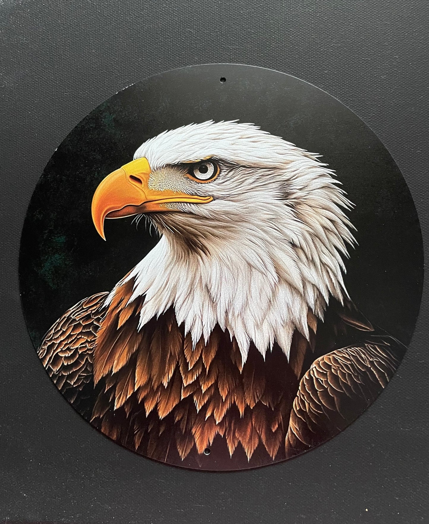 Pre-Orders - You select sign design on 16 inch handpainted wood round