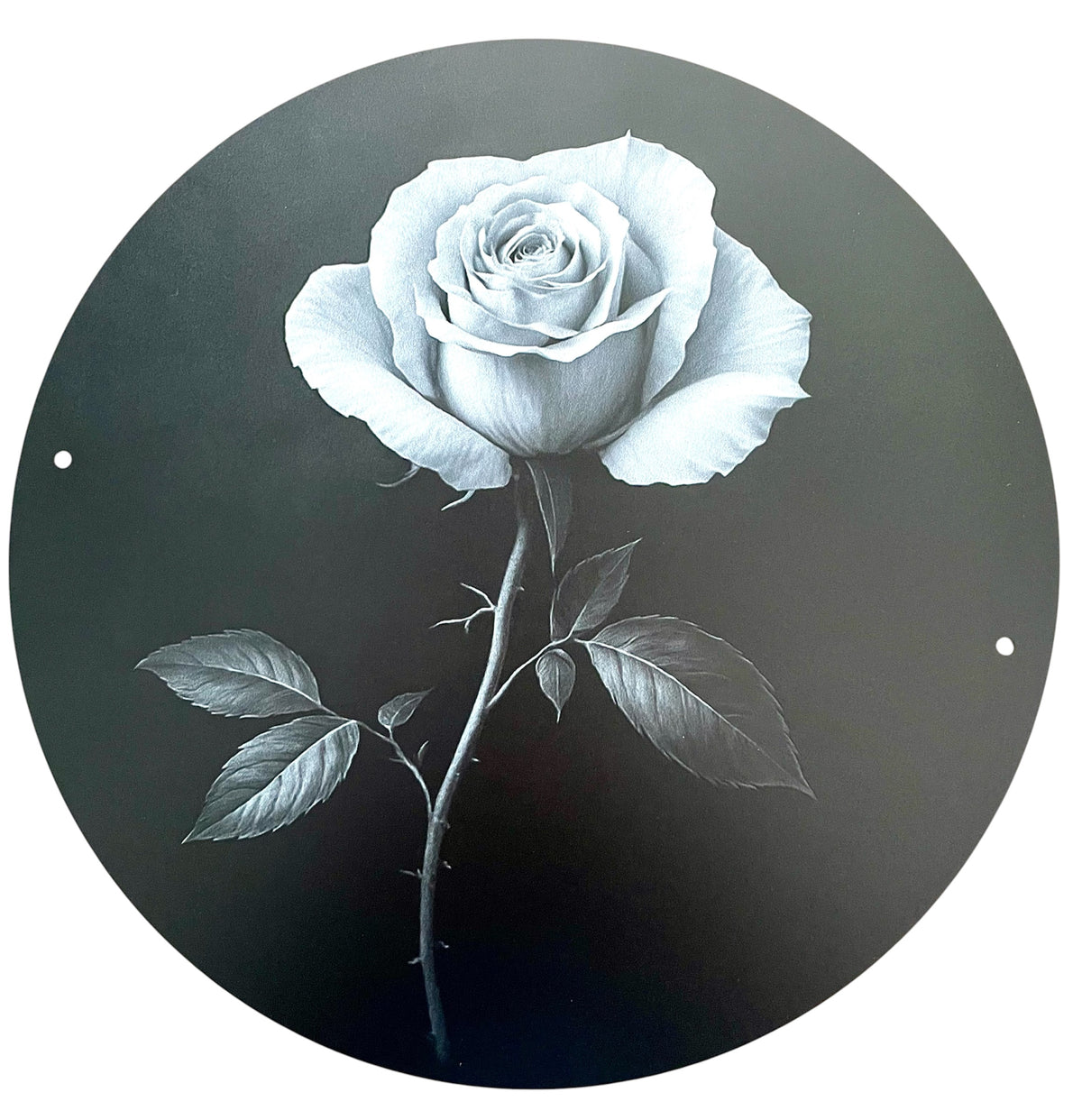 Pre-Orders - You select sign design on 16 inch handpainted wood round