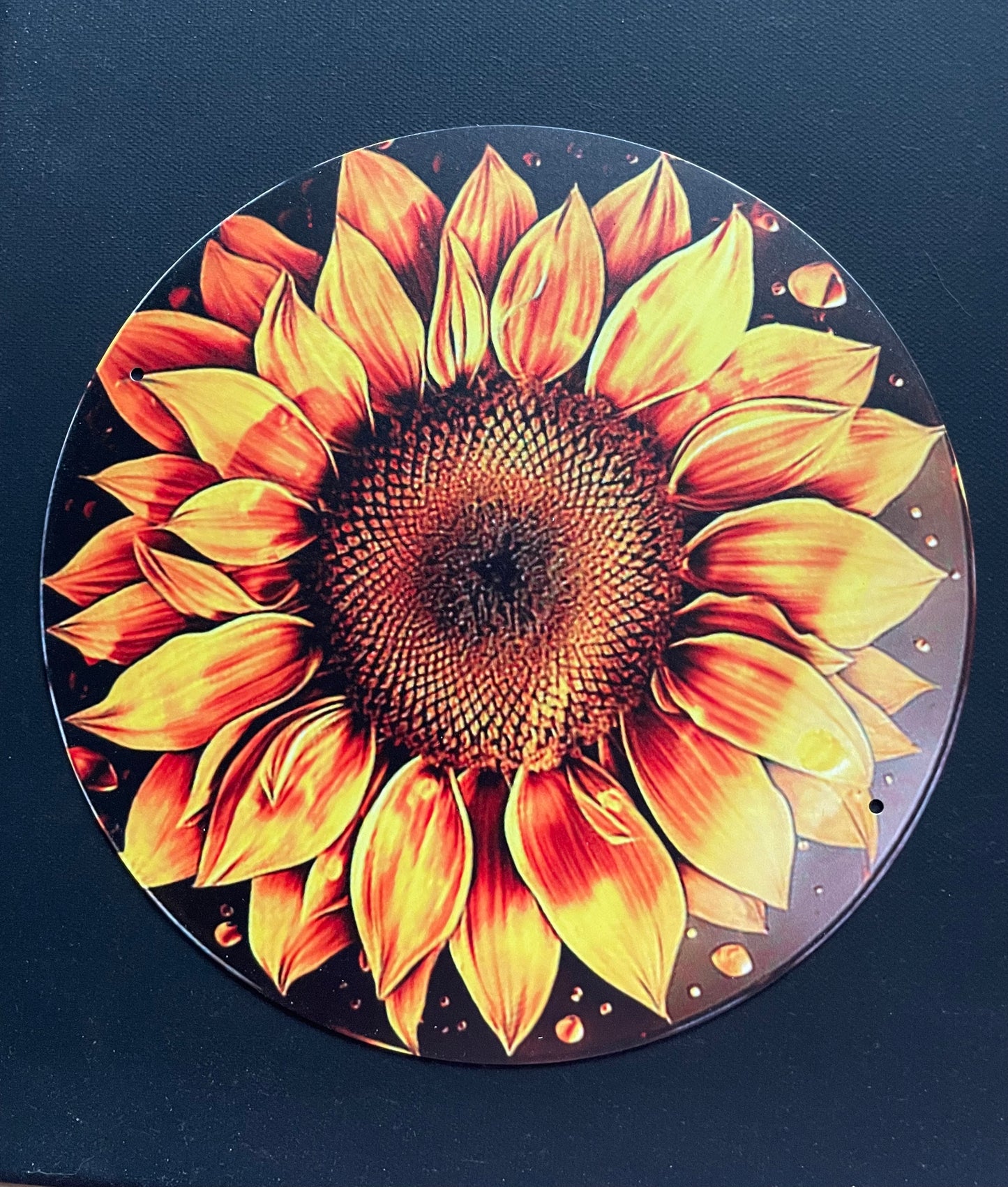 Pre-Orders - You select sign design on 16 inch handpainted wood round